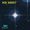 HD  36957