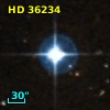 HD  36234