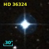HD  36324