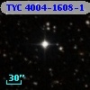TYC 4004-1608-1