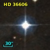 HD  36606