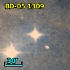 BD-05  1309