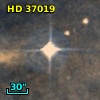 HD  37019