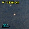 V* V836 Ori