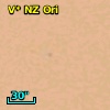 V* NZ Ori