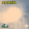 HD  36958