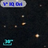 V* IQ Ori