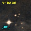 V* BU Ori