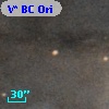 V* BC Ori