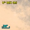 V* WX Ori