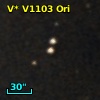 V* V1103 Ori