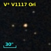 V* V1117 Ori