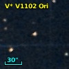 V* V1102 Ori