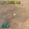 V* V1129 Ori