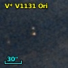 V* V1131 Ori