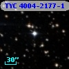 TYC 4004-2177-1