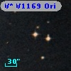 V* V1169 Ori