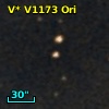 V* V1173 Ori