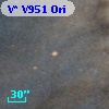 V* V951 Ori
