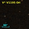 V* V1195 Ori