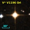 V* V1196 Ori