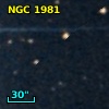 NGC  1981