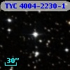 TYC 4004-2230-1