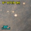 V* V719 Ori