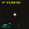 V* V1268 Ori