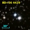 BD+36  4429
