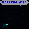 IRAS 05308-0252