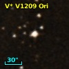 V* V1209 Ori