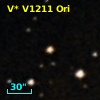 V* V1211 Ori
