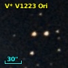 V* V1223 Ori