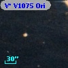 V* V1075 Ori