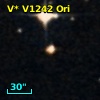 V* V1242 Ori