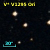 V* V1295 Ori