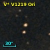 V* V1219 Ori