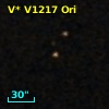 V* V1217 Ori