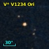 V* V1234 Ori