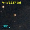 V* V1237 Ori