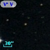 V* V1238 Ori