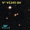 V* V1245 Ori