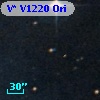V* V1220 Ori