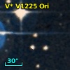 V* V1225 Ori