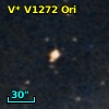 V* V1272 Ori