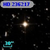 HD 236217