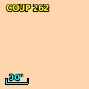 CXOONC J053506.2-052202