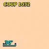 COUP J053519.4-052221