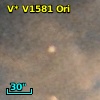 V* V1581 Ori